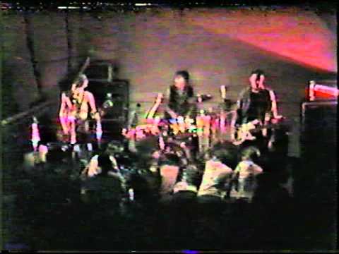 The Neos - (Almost) Typical Obligatory﻿ Anti-Government Song- LIVE @ OAP Hall