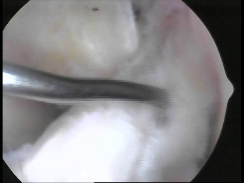 Jorge Luis Córdova Fonseca-7