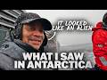 What I Saw In Antarctica