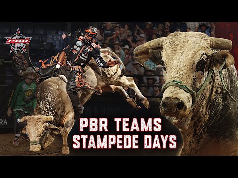 PBR Teams 2024: Nashville Stampede Days | Week 5 Recap | PBR