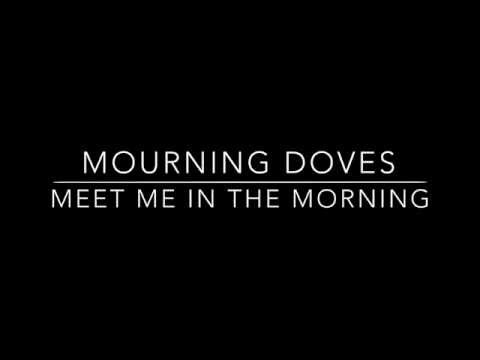 Mourning Doves video