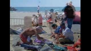 Freestyle World Cup 2005