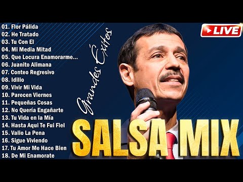 EDDIE SANTIAGO, FRANKIE RUIZ, MAELO RUIZ, GALY GALIANO - MIX SALSA ROMANTICA PARA LA VENA