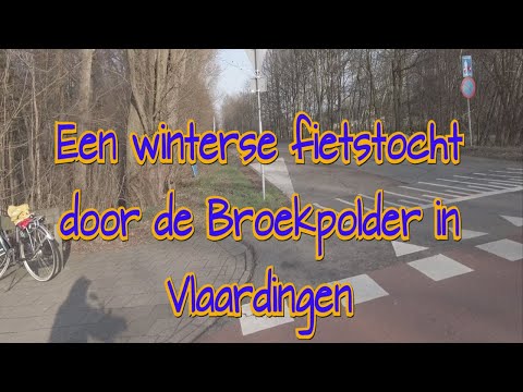 Een winterse fietstocht door de Broekpolder in Vlaardingen, verbeterde video en commentaar (4K)