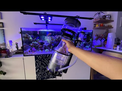 Simplicity Skimmer 240 DC - Reef Tank Aquarium 1 Year Review