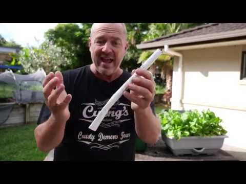 Self-watering planter wicking technology explained