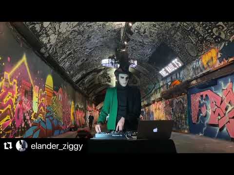 Elander Ziggy ☠️