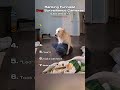Ranking Funniest Dog Surveillance Camera Moments!😅