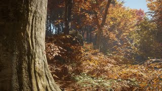 【theHunter:call of wild】お休み前の鹿狩り配信
