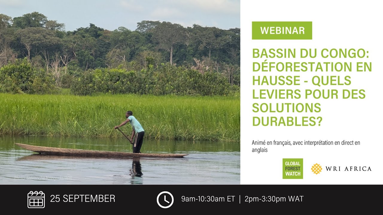 Bassin du Congo : déforestation en hausse – quels leviers pour des solutions durables?