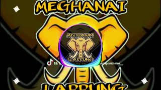 Download lagu REMIX LAMPUNG MARI BERCINTA (berdansa dan menari ikuti alunan lagu) mp3