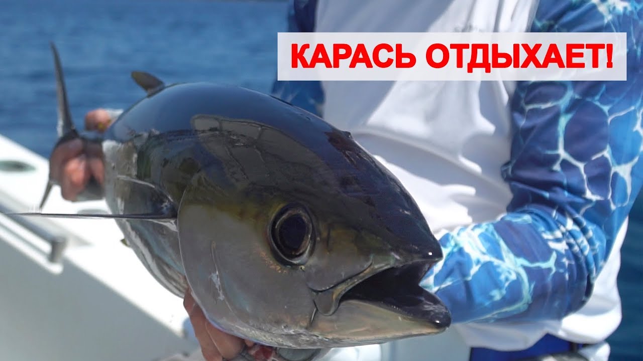 Чем удалить черный цвет с волос Чем удалить черный цвет с волос