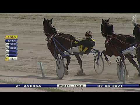 Aversa trotto 7 Aprile 2021 - 2° Corsa