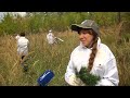 Сотрудники Куйбышевского НПЗ присоединились к всероссийской акции "Сохраним лес"
