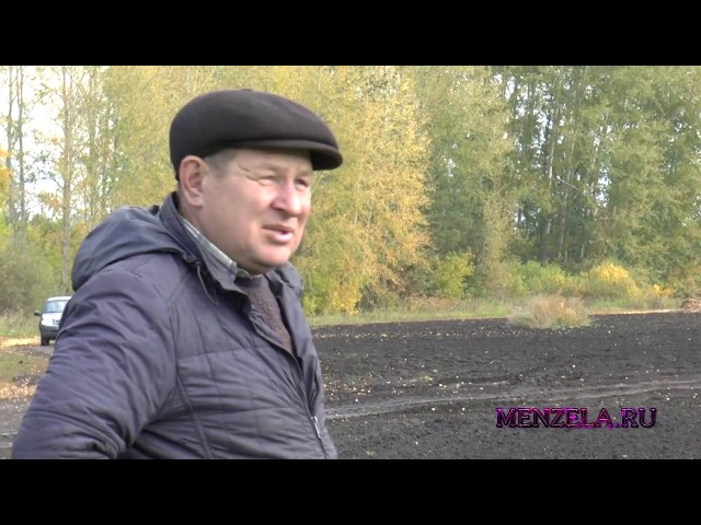 Первый в России морковоуборочный комбайн Dewulf ZK 2 на полях КФХ Давлетов приступил к работе
