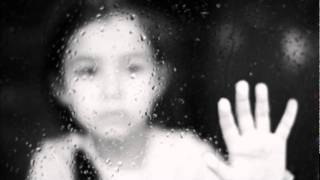 The fly-Dave Matthews