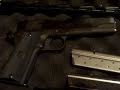 Firestorm 1911 Gov't .38 super