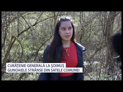 Curatenie de primavara la Soimus - Stiri Antena Vest -