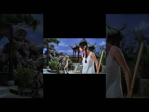 主人，现在几点了？#AI电影#搞笑#抽象#喵咪#美少女