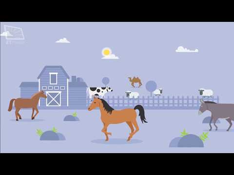 Ahkam in Brief - What's Halal to eat?