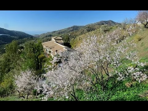 AX1067 - Finca Almendra, Sayalonga, for sale