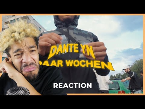 Vielversprechender NEWCOMER! 👀  Dante YN - Paar Wochen | REACTION