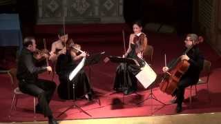 preview picture of video 'Quatuor Terpsycordes - Webern: Langsamer Satz'