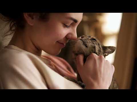 RAWZ - Cat Solution Pâtés