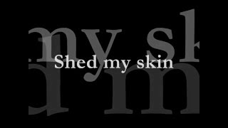 Poets of the Fall - Psychosis (Lyrics)