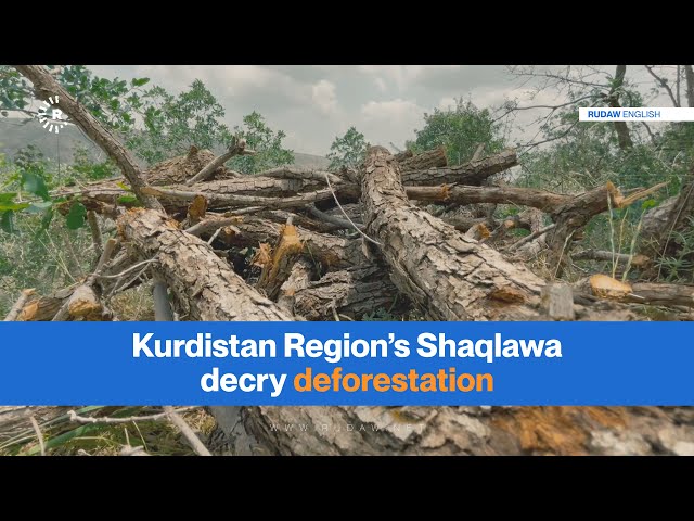 Kurdistan Region’s Shaqlawa decry deforestation
