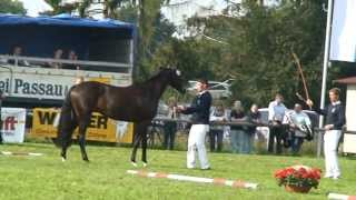 Video von Designed Face