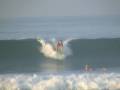 Dwarf surf