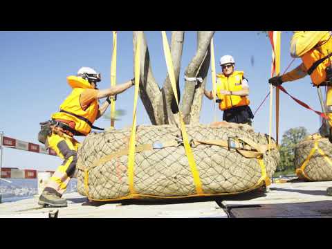 Enea GmbH – Floating on Air