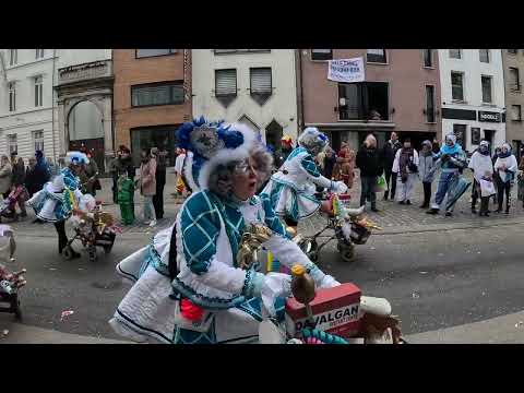 Aalst Carnaval Groepen 2023🎭 - 't Es Ter Oever