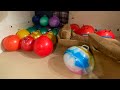 Me Bouncing On Every Ball I Currently Have Inflated