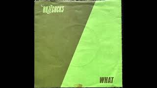 Oh Shit - The Buzzcocks