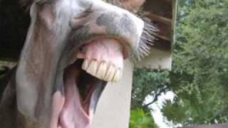 DOMINGO CORRALES ..CORRIDO MEXICANO.  ANTONIO AGUILAR