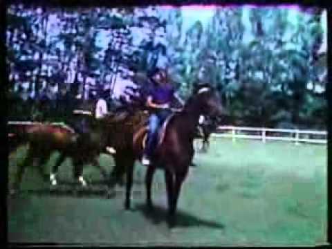 chaseiro ku lama menanti