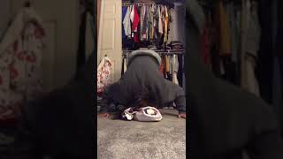 Ass Crashed Camera ?Wait For It ?#foryou #shorts #trending #bigbank