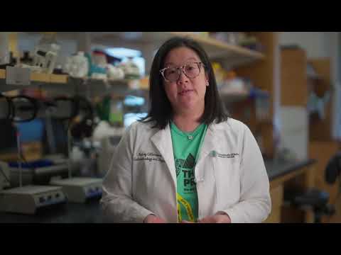 Cancer Research Grants: Fueling the Fight Against Cancer