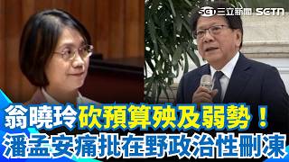 翁曉玲砍預算殃及弱勢！潘孟安痛批在野政治性刪凍 翁曉玲稱「不齒這種做法」：別用特支費做愛心 總統掏腰包20萬採購庇護工場禮盒｜三立新聞網 SETN.com