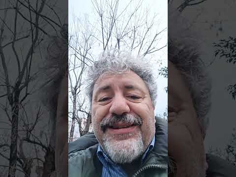 Elly Schlein secondo Chatgpt