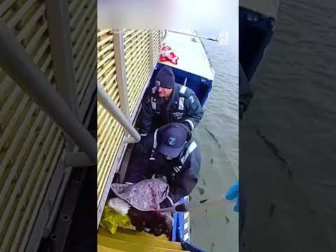 The Bald Eagle knew the police were there to help… 🥹