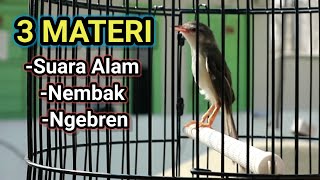 Download lagu Prenjak Klik Klik Gacor Nembak Ngebren Panjang, 3 Materi || Untuk Pancingan Klik Klik mp3 Download lagu Prenjak Klik Klik Gacor Nembak Ngebren Panjang, 3 Materi || Untuk Pancingan Klik Klik mp3
