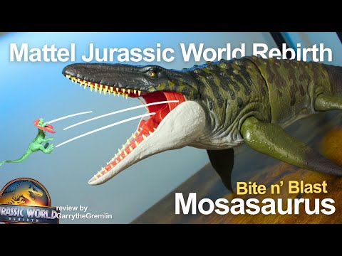 return of the KILLER FISH! 🐋