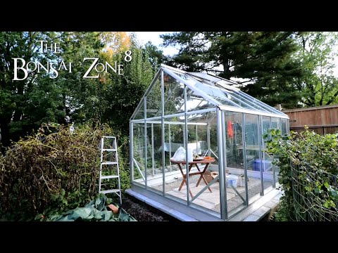 My Glass Greenhouse Update, The Bonsai Zone, Oct 2021