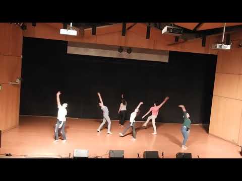 Gracias a la Vida (versión Voces Unidas por Chile) - Compañía Danza Fusión