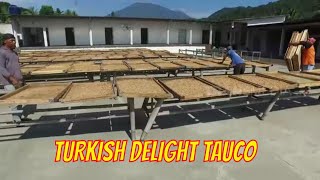 Download lagu TURKISH DELIGHT TAUCO | JEJAK SI GUNDUL (11/10/21) mp3