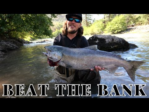 Bank Fishing For Fall Salmon, BOBBER DOWNS