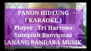 Download lagu PANON HIDEUNG, KARAOKE, TRI HARTONO, LANANG BANDARA MUSIK mp3